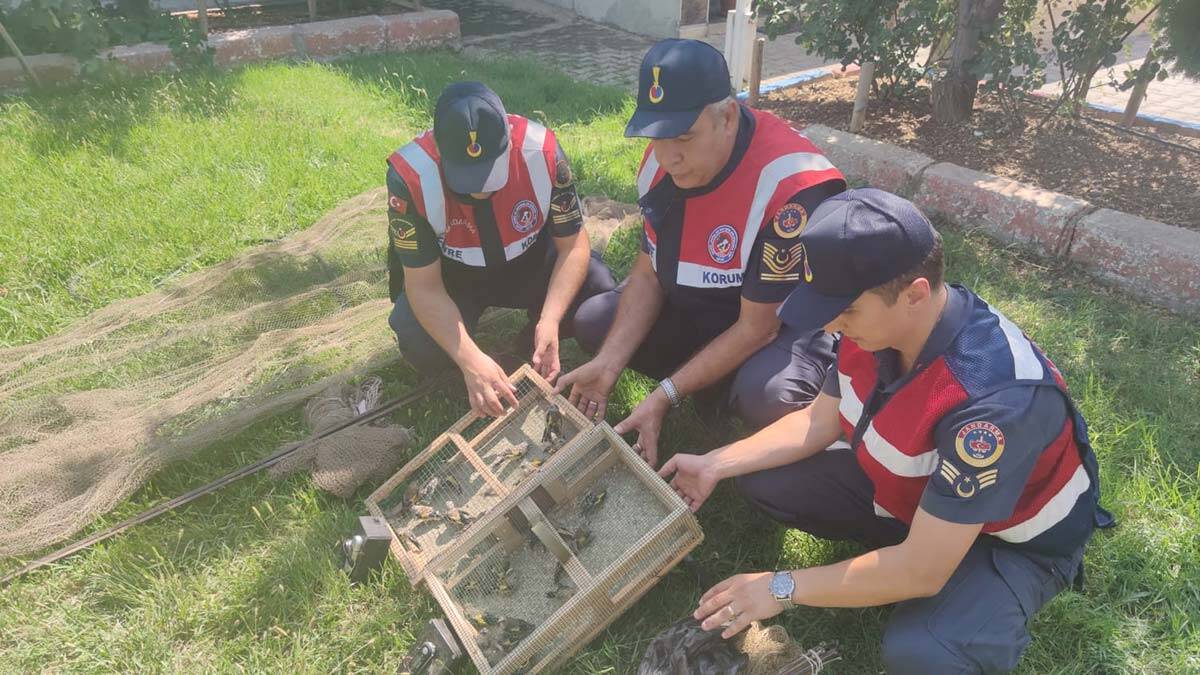 33 saka kuşu avına 43 bin lira ceza