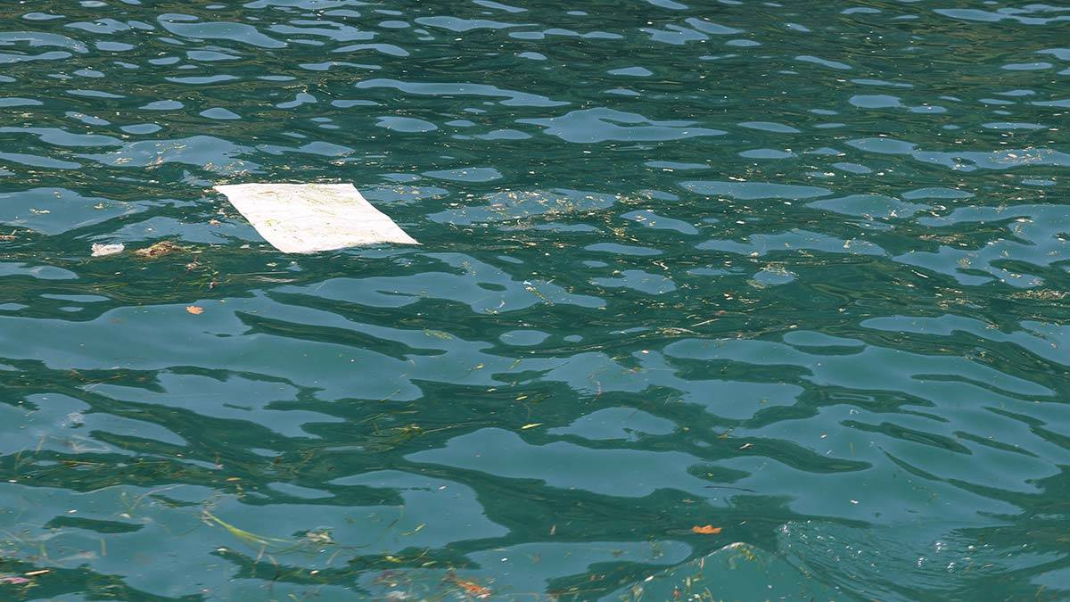 4 ülkeden Karadeniz'de kirlilikle ortak mücadele