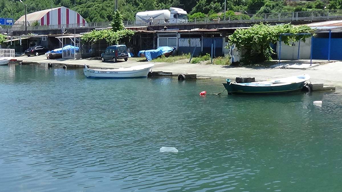 4 ülkeden Karadeniz'de kirlilikle ortak mücadele