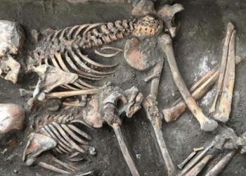 5 bin yıl önce insanlar 40'lı yaşlara kadar yaşıyorlardı