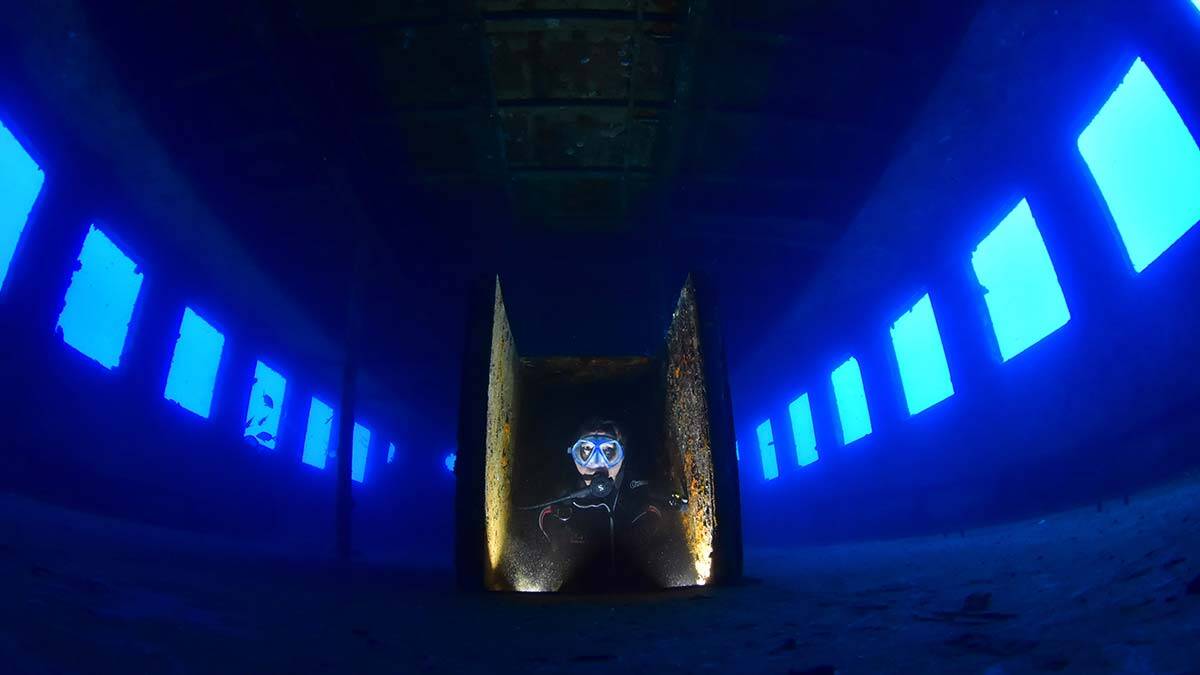 Altın Palet Sualtı Görüntüleme Şampiyonu belli oldu