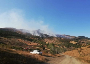 Ankara'da orman yangını çıktı