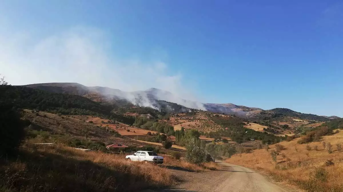 Ankara'da orman yangını çıktı