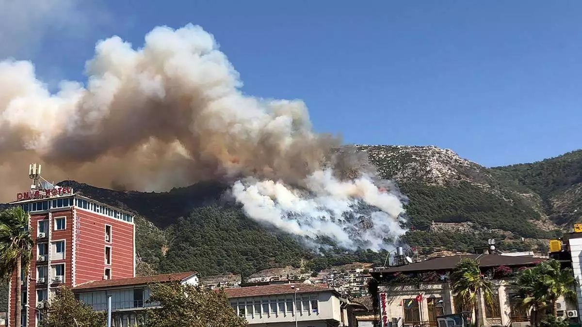 Antakya'da orman yangını çıktı