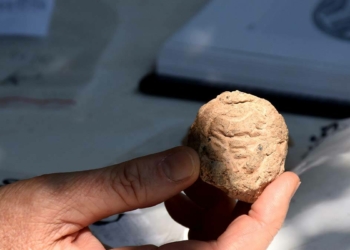 Arslantepe'de 5 bin 621 yıllık 250 mühür bulundu