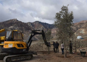 Artvin'de 5 bin 144 meyve ağacı nakledildi