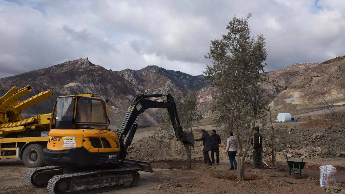 Artvin'de 5 bin 144 meyve ağacı nakledildi