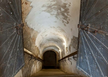 Avusturya'da ölen annesini bodrumda sakladı