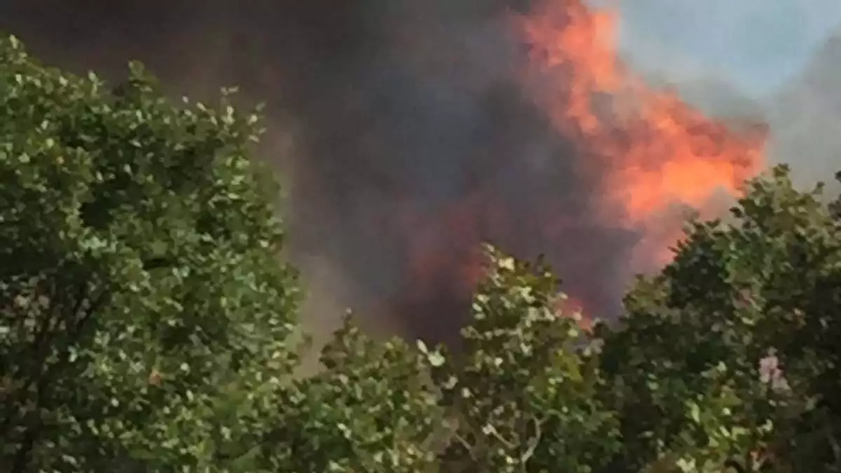Balıkesir'de çıkan orman yangınına müdahale başladı