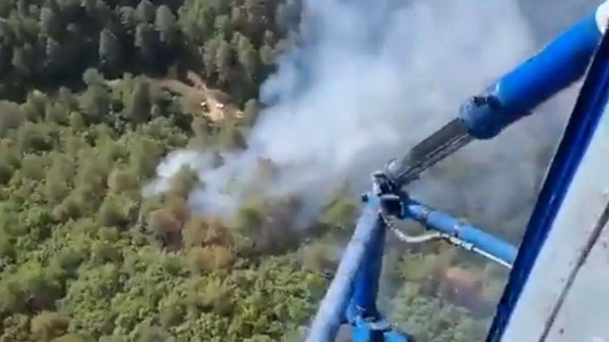 Balıkesir'de orman yangını