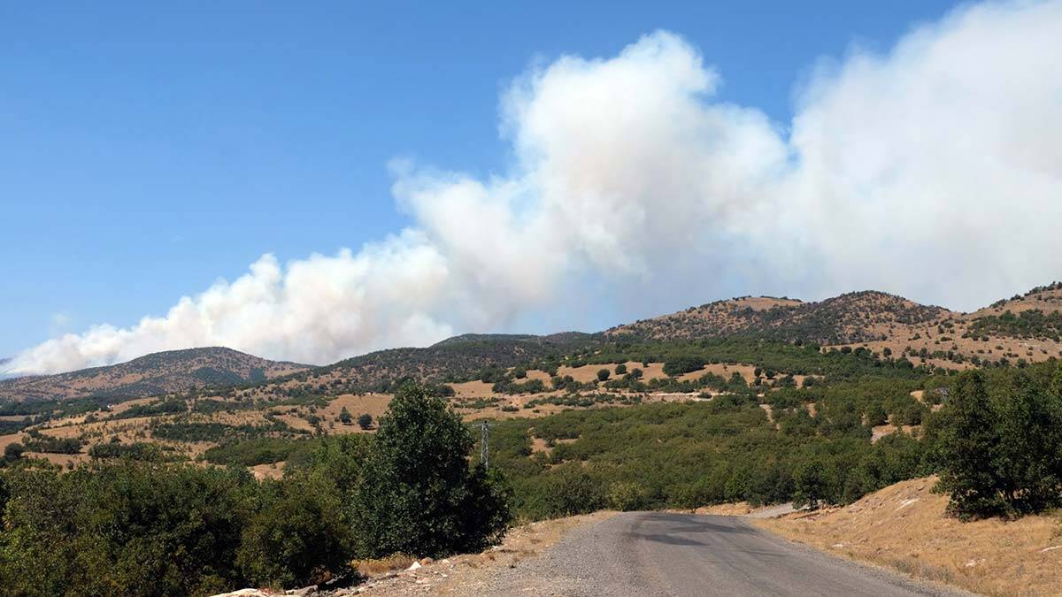 Bingöl'de yangın kontrol altına alındı