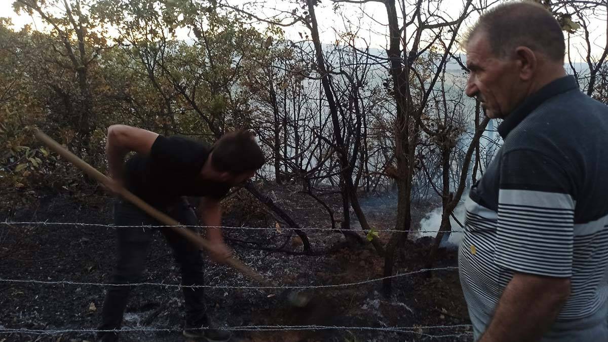 Bingöl'deki orman yangını söndürüldü
