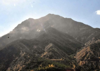 Bitlis'te örtü yangınında 40 hektar zarar gördü