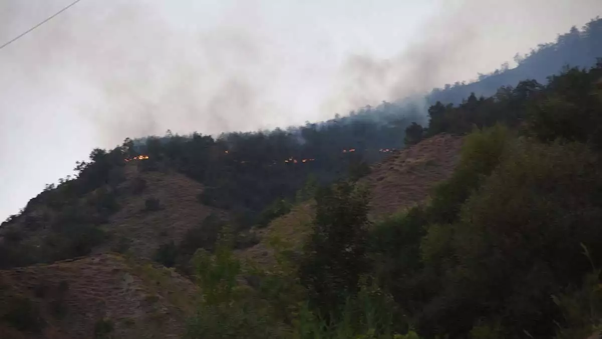 Bitlis'teki örtü yangını kısmen kontrol altında