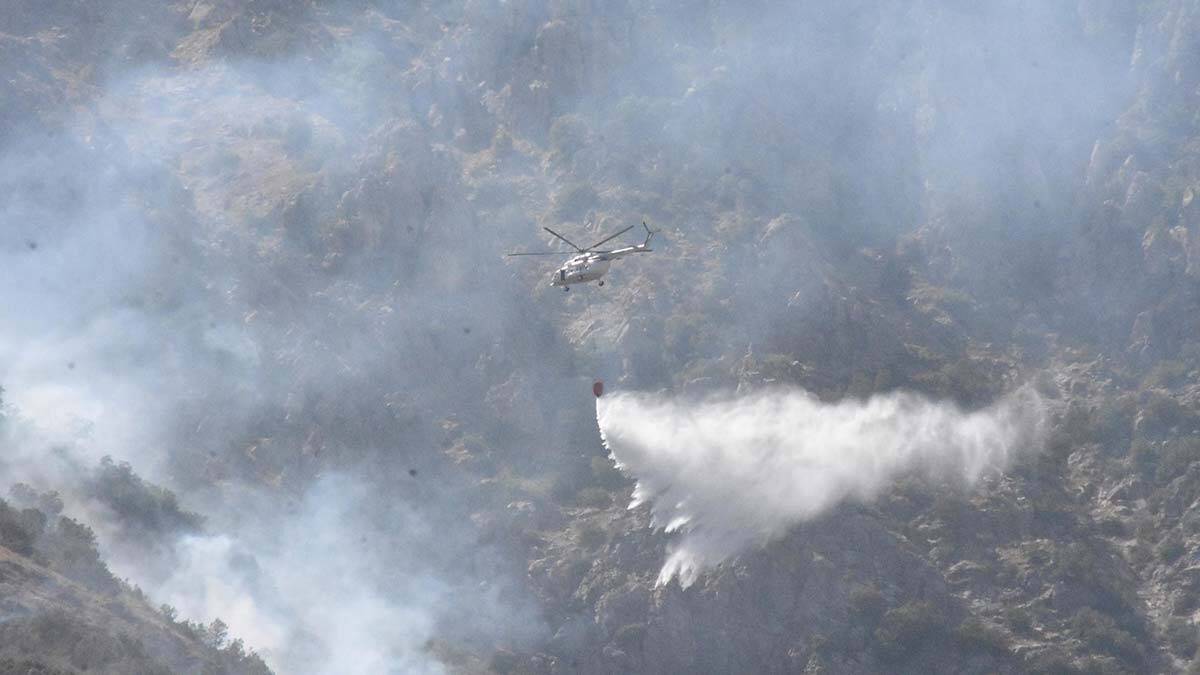 Bitlis'teki örtü yangını kısmen kontrol altında
