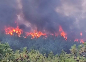 Çanakkale orman yangını ile mücadele ediyor