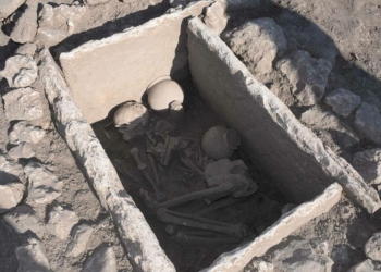 Çayönü Höyüğü'nde 5 bin yıllık sandık mezar bulundu
