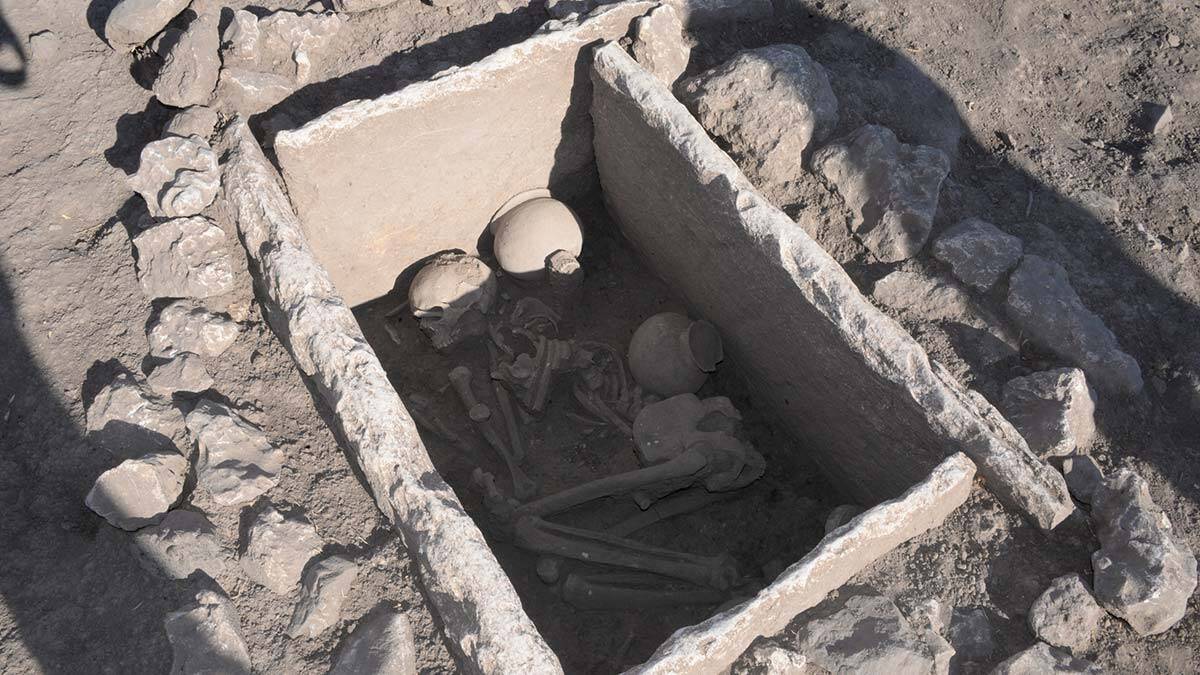 Çayönü Höyüğü'nde 5 bin yıllık sandık mezar bulundu