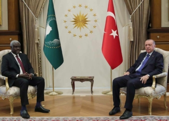 Cumhurbaşkanı'ndan Afrika Birliği teması