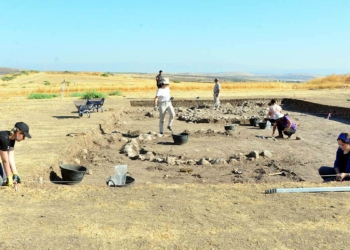 Domuztepe'de 7 bin 500 yıllık köy kalıntıları bulundu