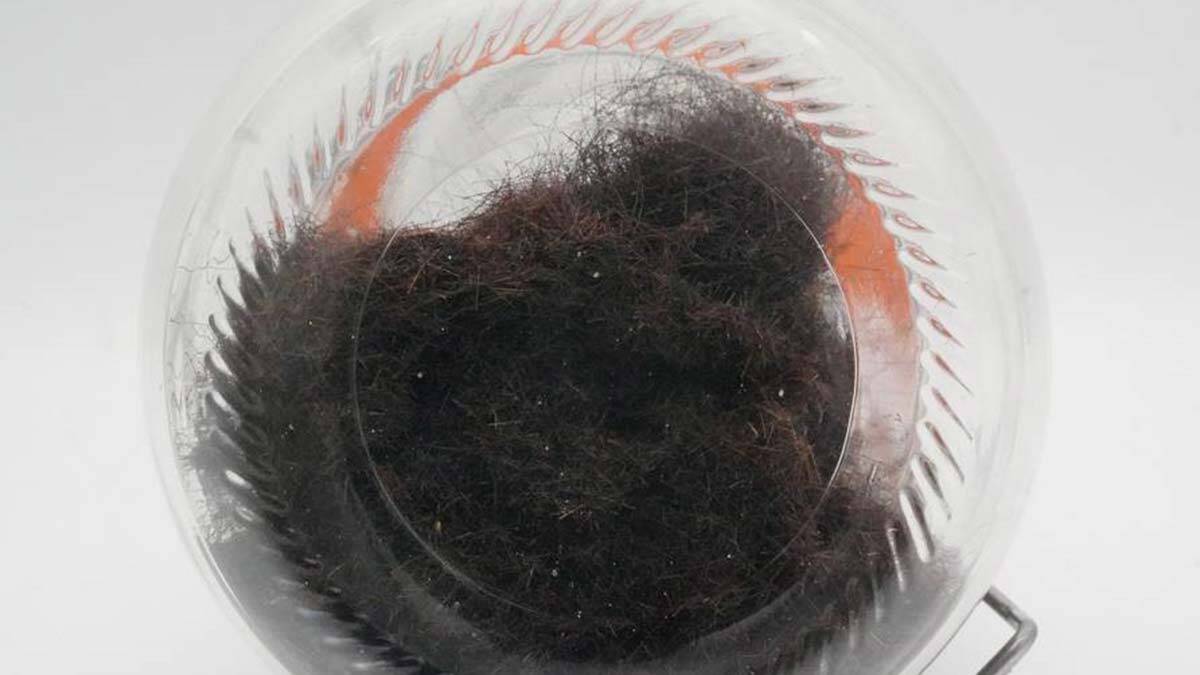 Elvis Presley'nin saçı 605 bin Türk lirasına satıldı