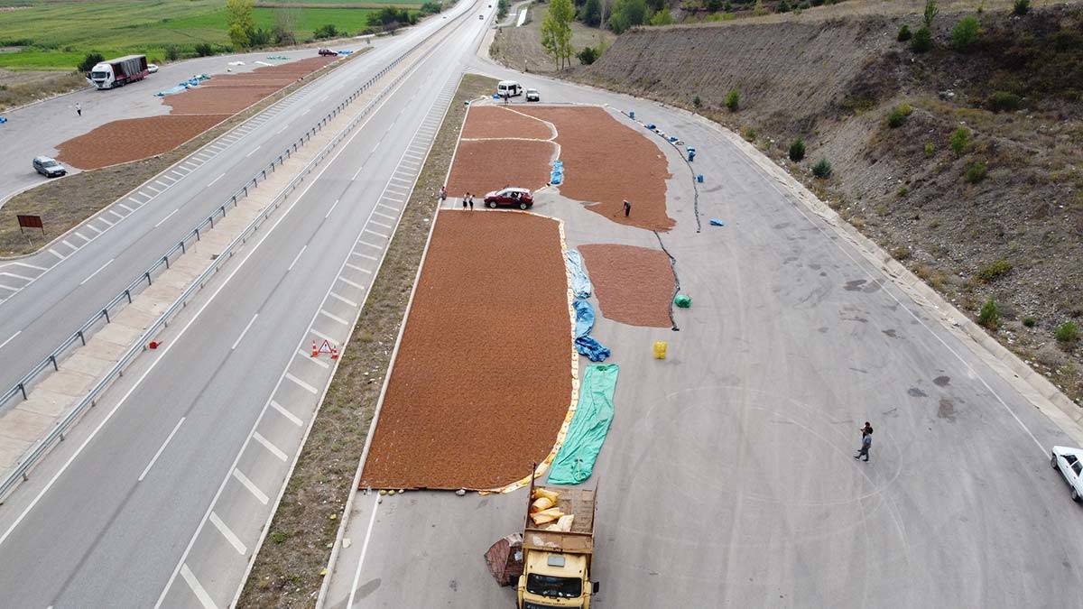 Fındık kurutmaya Ordu'da yağış engeli