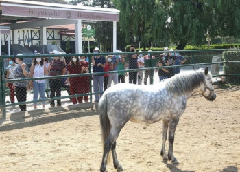 Zihinsel Engelli Gündüz Yaşam Merkezi'nde yüzler gülüyor