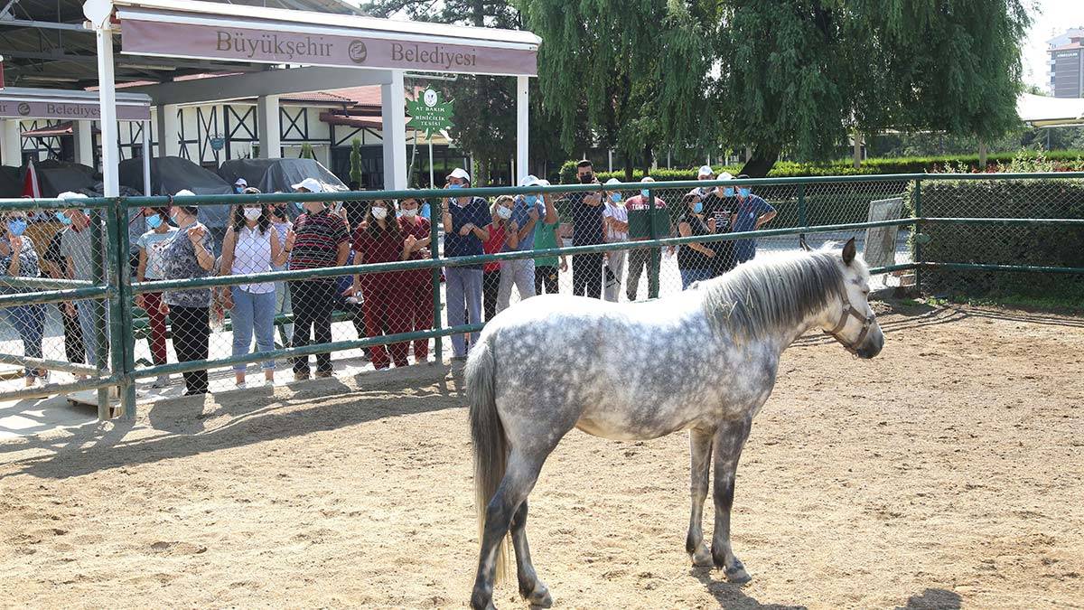 Zihinsel Engelli Gündüz Yaşam Merkezi'nde yüzler gülüyor