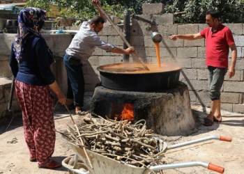 Gaziantep'te üzümlerin pekmez ve pestil yolculuğu
