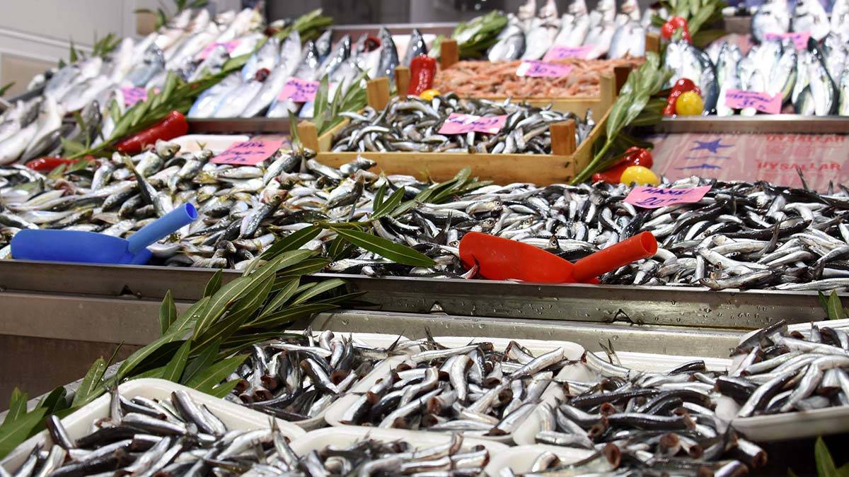 Gıda Bilimi Uzmanından balık tüketimi uyarısı