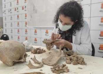 Hacettepe Üniversitesi'nde 12 bin iskelet inceleniyor