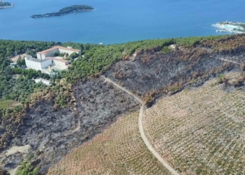 Heybeliada'da 1700 ağaç yandı