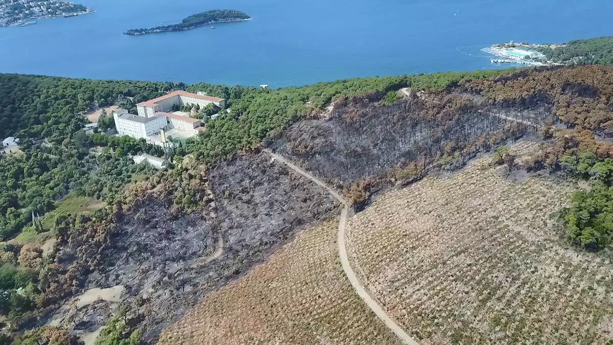 Heybeliada'da 1700 ağaç yandı