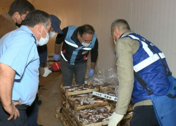 İstanbul'da balık boy denetimi: 70 bin 780 TL ceza