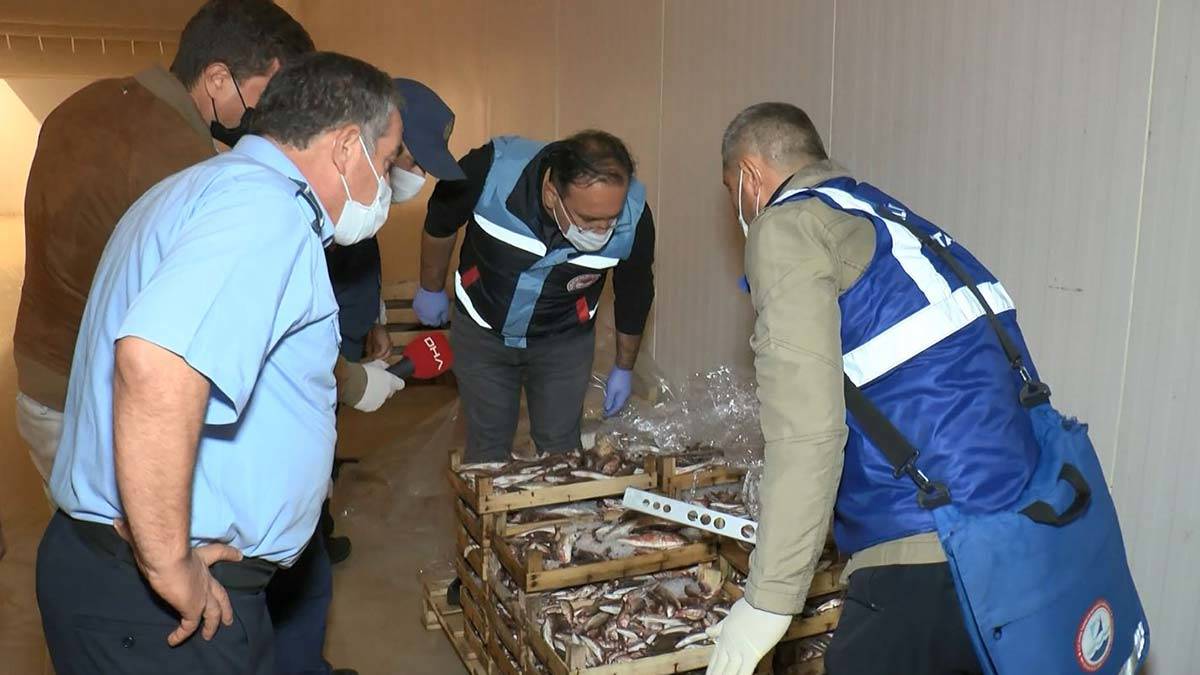 İstanbul'da balık boy denetimi: 70 bin 780 TL ceza