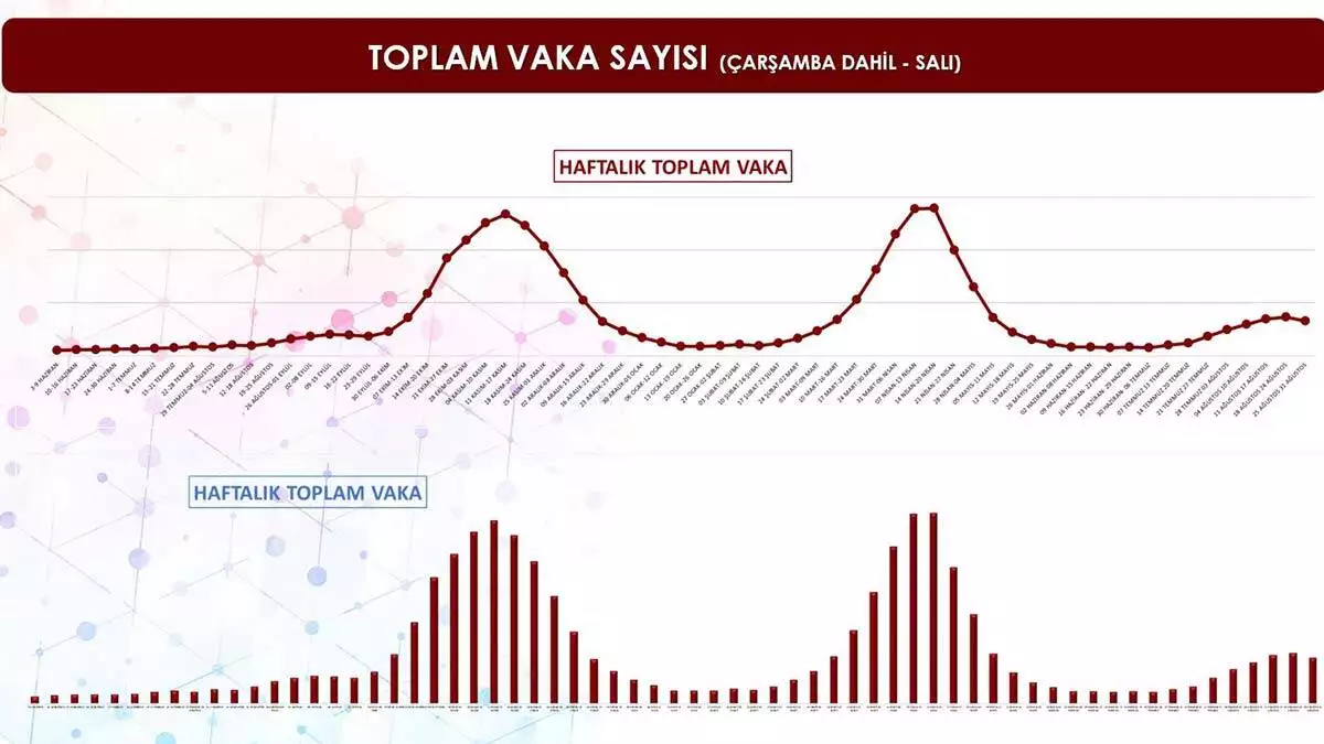 Istanbulda en fazla asilama kadikoyde 3 - yerel haberler - haberton