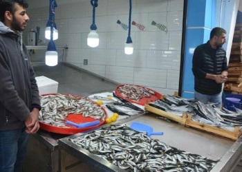 Karadeniz'de fırtına nedeniyle balık fiyatları katlandı