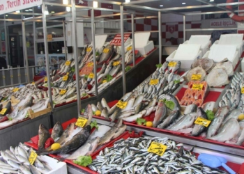 Karadeniz'de tezgahlar balıkla doldu