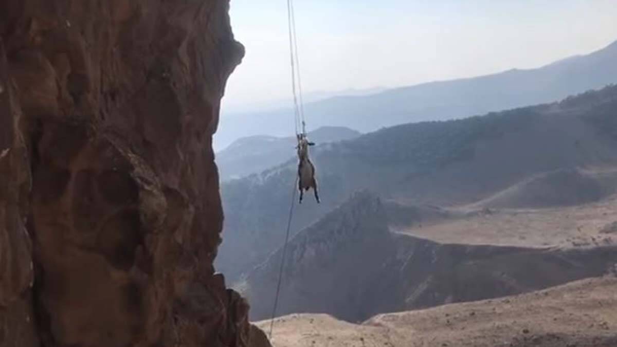 ORC Sportboat Avrupa Şampiyonu belli oldu