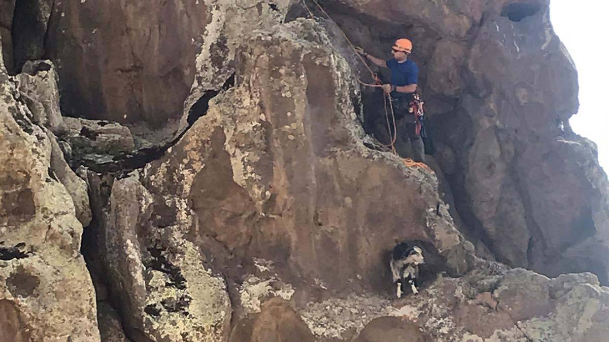 Kayalıklarda mahsur kalan keçi halatla kurtarıldı