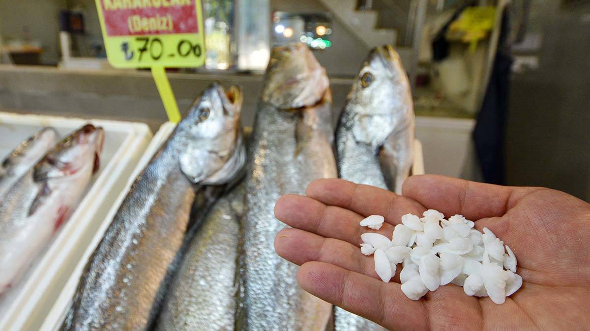 Kilosu 70 TL olan balığın taşı 600 TL