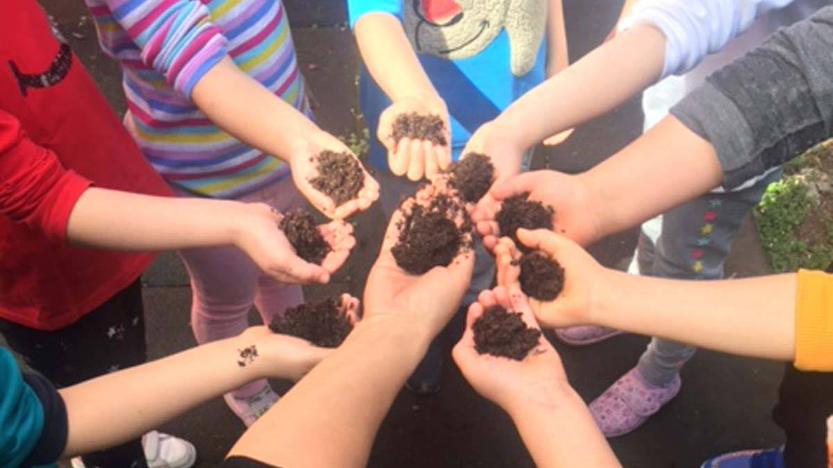 Tohumum Askıda projesiyle Çankaya'ya 2 ödül