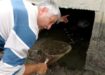 Kuruyan kanaldaki balıkları pet şişeyle nehre taşıdı