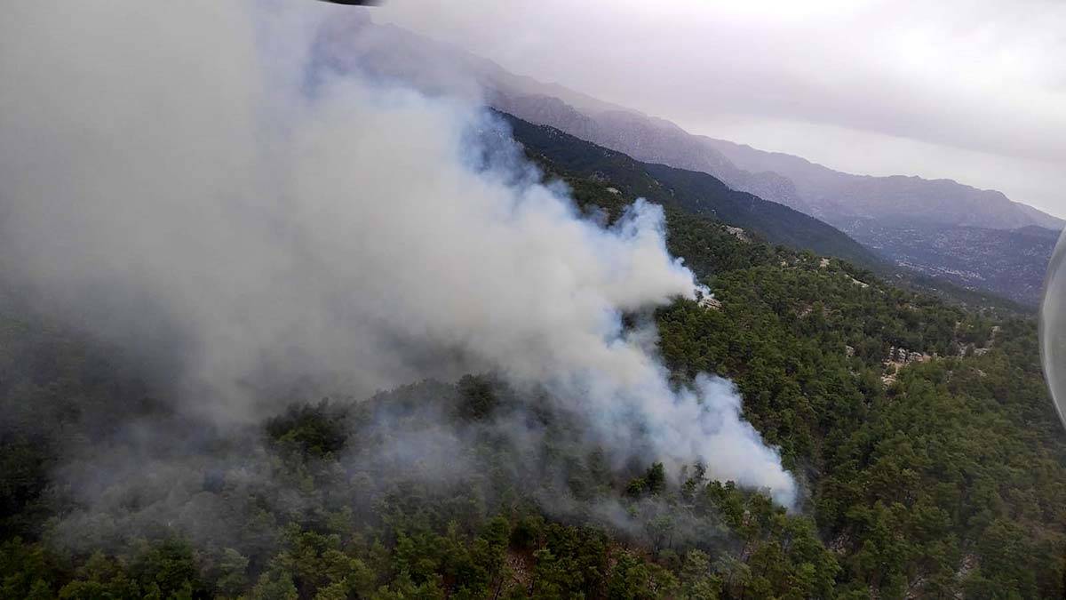 Manavgat'ta orman yangını çıktı