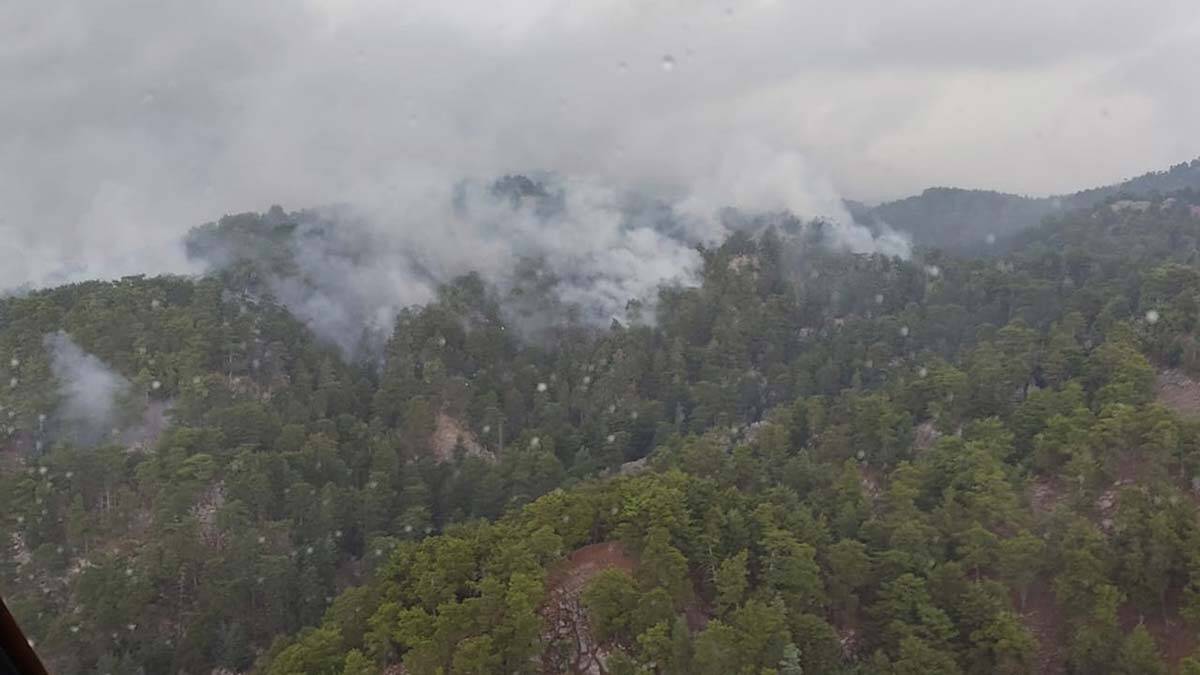 Manavgat'ta orman yangını