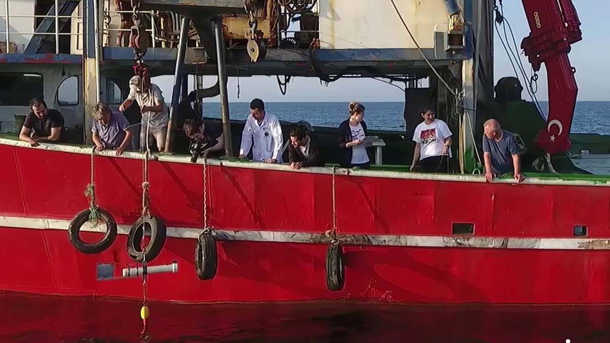 Marmara Denizi'nde 450 farklı nokta müsilaj incelemesi