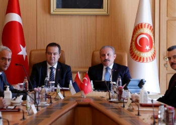Meclis Başkanı Sırp mevkidaşıyla görüştü