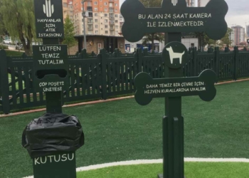 Minik Dostlar Hayvan Parkı açıldı
