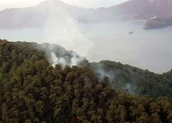 Muğla'ya düşen yıldırımlar sonucu 37 yangın çıktı