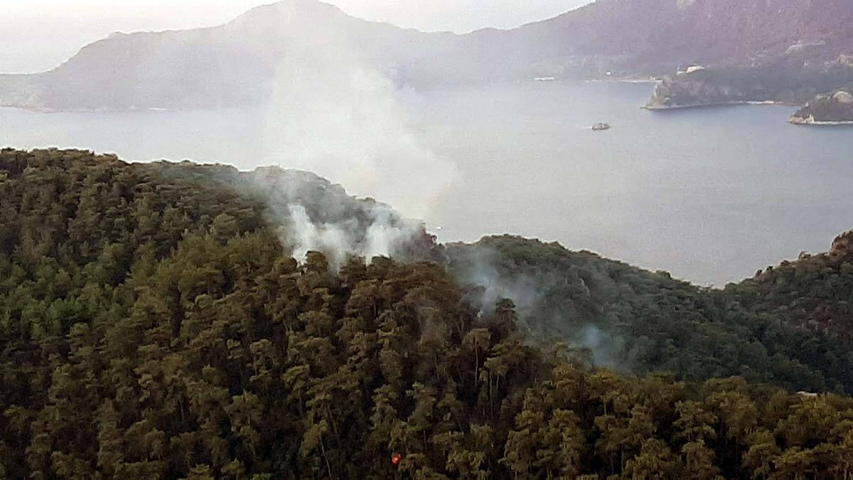 Muğla'ya düşen yıldırımlar sonucu 37 yangın çıktı